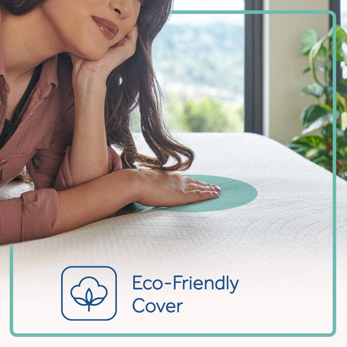 Sealy® Naturals™ Hybrid Mattress - Massey's Furniture Barn (Watertown, NY) 
