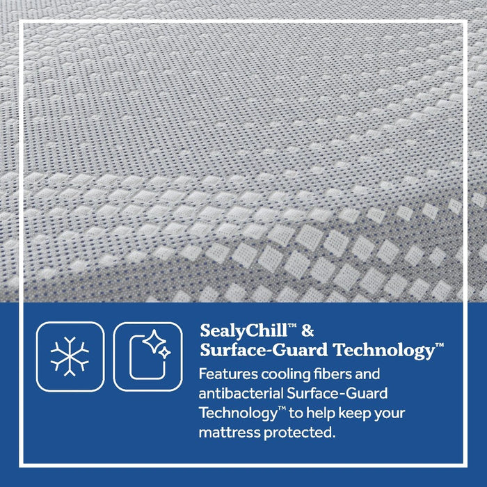 Chablis Hybrid Mattress - Massey's Furniture Barn (Watertown, NY) 