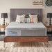 Paterson Hybrid Mattress - Massey's Furniture Barn (Watertown, NY) 
