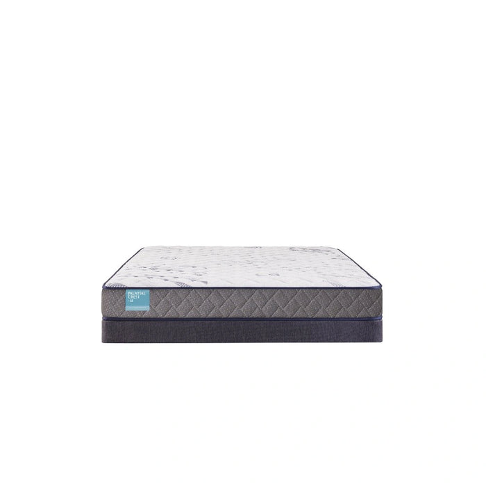 Sealy Nori Foam Mattress - Massey's Furniture Barn (Watertown, NY) 