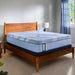 Lansdale Hybrid Mattress - Massey's Furniture Barn (Watertown, NY) 