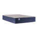 Sealy Garden Hills Spring Mattress - Massey's Furniture Barn (Watertown, NY) 