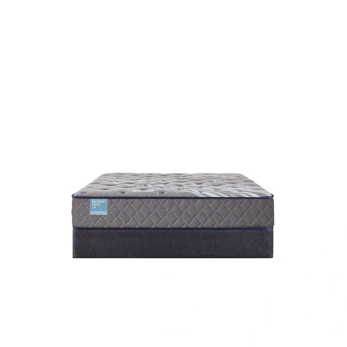 Sealy Remey Innerspring Mattress - Massey's Furniture Barn (Watertown, NY) 