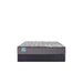 Sealy Remey Innerspring Mattress - Massey's Furniture Barn (Watertown, NY) 