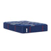 Sealy Albany II Spring Mattress - Massey's Furniture Barn (Watertown, NY) 