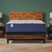 Golden Spirit Spring Mattress - Massey's Furniture Barn (Watertown, NY) 