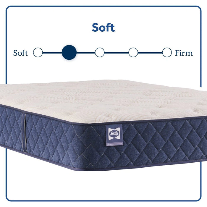 Desert Rose Spring Mattress - Massey's Furniture Barn (Watertown, NY) 