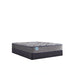 Sealy Remey Innerspring Mattress - Massey's Furniture Barn (Watertown, NY) 
