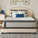 Diggens Innerspring Mattress - Massey's Furniture Barn (Watertown, NY) 
