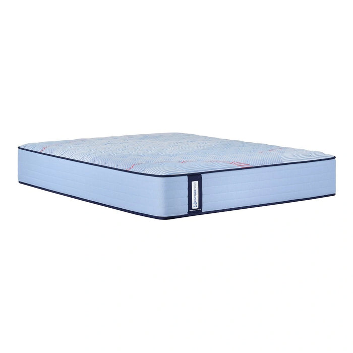 Dudley Spring Mattress - Massey's Furniture Barn (Watertown, NY) 