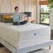 Sealy® Naturals™ Hybrid Mattress - Massey's Furniture Barn (Watertown, NY) 