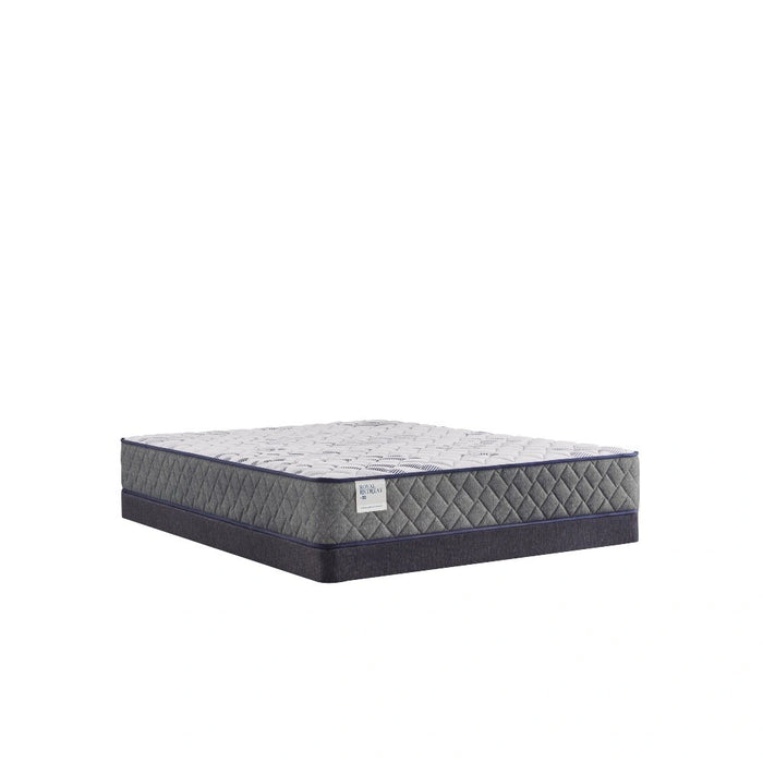 San Diego Innerspring Mattress - Massey's Furniture Barn (Watertown, NY) 