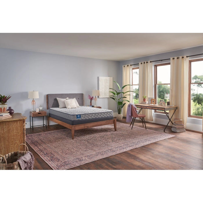 Sealy First & Park Foam Mattress - Massey's Furniture Barn (Watertown, NY) 