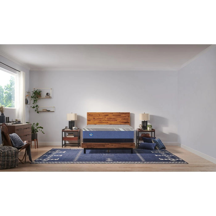 Sealy Midnight Cove Foam Mattress - Massey's Furniture Barn (Watertown, NY) 