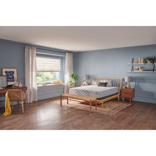 Palace Park Foam Mattress - Massey's Furniture Barn (Watertown, NY) 