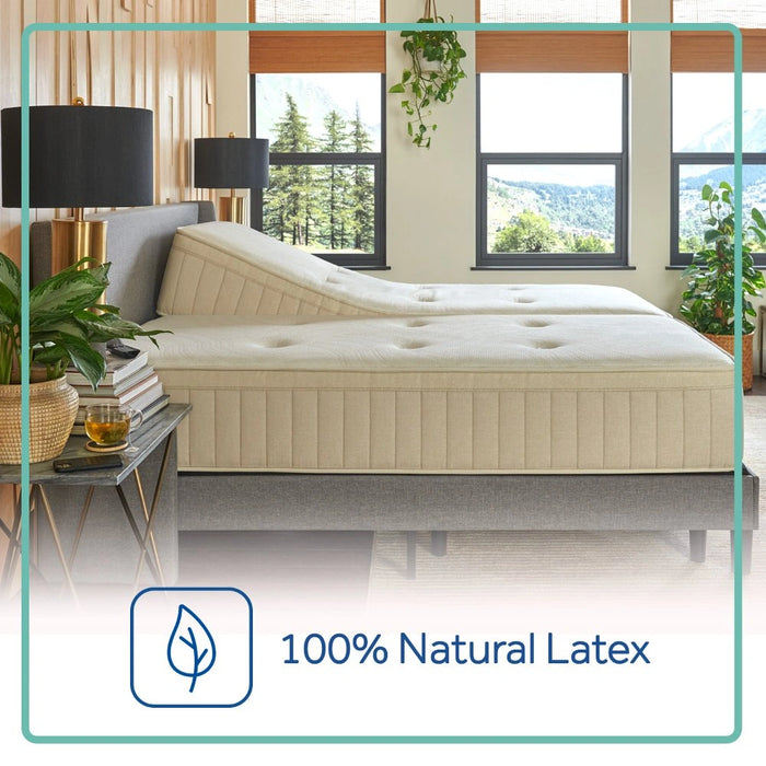 Sealy® Naturals™ Hybrid Mattress - Massey's Furniture Barn (Watertown, NY) 
