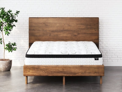 Chime 12 Inch Hybrid Mattress in a Box - Massey's Furniture Barn (Watertown, NY) 