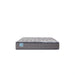 Sealy Remey Innerspring Mattress - Massey's Furniture Barn (Watertown, NY) 