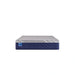 Sealy Midnight Cove Hybrid Mattress - Massey's Furniture Barn (Watertown, NY) 