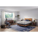 Sealy Murry Hill Foam Mattress - Massey's Furniture Barn (Watertown, NY) 