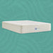 Sealy® Naturals™ Hybrid Mattress - Massey's Furniture Barn (Watertown, NY) 