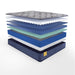 Sealy Featherton Innerspring Mattress - Massey's Furniture Barn (Watertown, NY) 