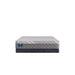 Sealy Fourth & Park Hybrid Mattress - Massey's Furniture Barn (Watertown, NY) 