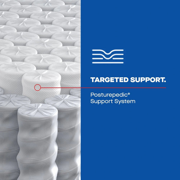 Goddard Hybrid Mattress - Massey's Furniture Barn (Watertown, NY) 