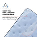 Hartsgrove Spring Mattress - Massey's Furniture Barn (Watertown, NY) 