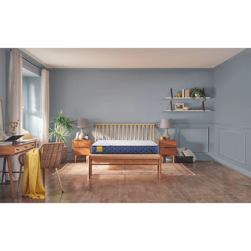 Sealy Erie Foam Mattress - Massey's Furniture Barn (Watertown, NY) 