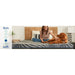 Albany Foam Mattress - Massey's Furniture Barn (Watertown, NY) 
