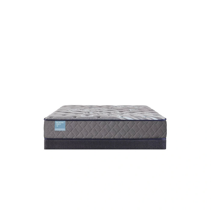 Sealy Remey Innerspring Mattress - Massey's Furniture Barn (Watertown, NY) 