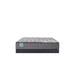 Sealy Remey Innerspring Mattress - Massey's Furniture Barn (Watertown, NY) 