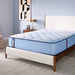 Hartsgrove Spring Mattress - Massey's Furniture Barn (Watertown, NY) 