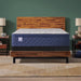 Sealy Garden Hills Spring Mattress - Massey's Furniture Barn (Watertown, NY) 
