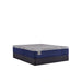 Sealy Benedict Hybrid Mattress - Massey's Furniture Barn (Watertown, NY) 