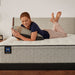 Sealy Winter Green Innerspring Mattress - Massey's Furniture Barn (Watertown, NY) 
