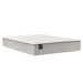 Sealy Winter Green Innerspring Mattress - Massey's Furniture Barn (Watertown, NY) 