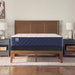 Safa Park Spring Mattress - Massey's Furniture Barn (Watertown, NY) 