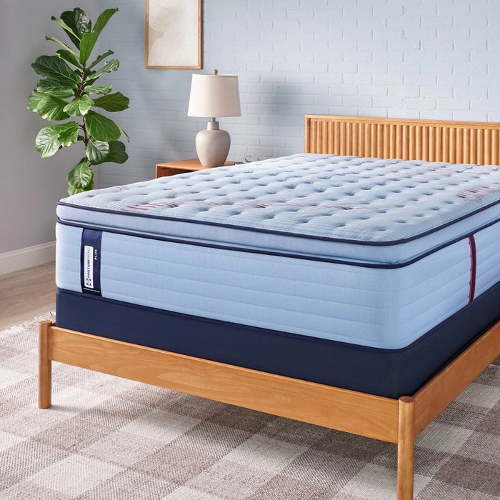 Equus Spring Mattress - Massey's Furniture Barn (Watertown, NY) 