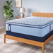 Equus Spring Mattress - Massey's Furniture Barn (Watertown, NY) 