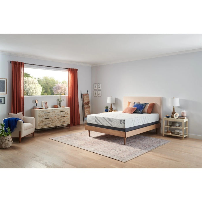 Sealy Provision Foam Mattress - Massey's Furniture Barn (Watertown, NY) 