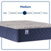 Golden Spirit Spring Mattress - Massey's Furniture Barn (Watertown, NY) 