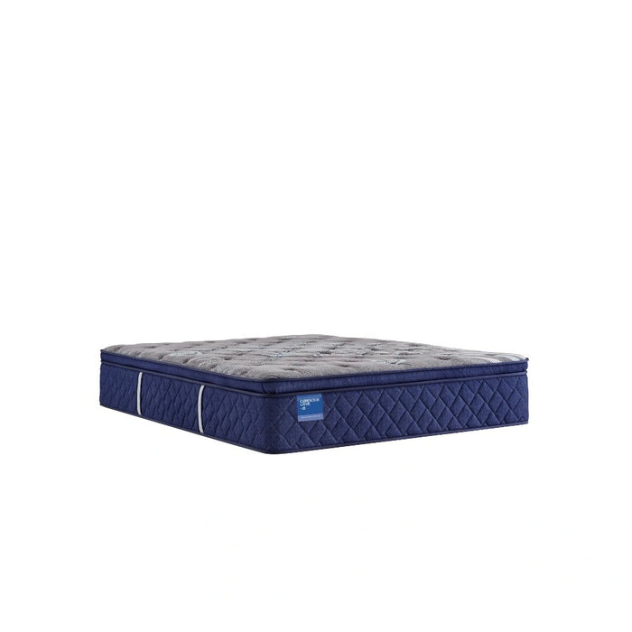 Sealy Midnight Cove Innerspring Mattress - Massey's Furniture Barn (Watertown, NY) 