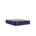 Sealy Midnight Cove Innerspring Mattress - Massey's Furniture Barn (Watertown, NY) 