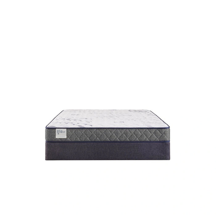 Sealy Paisley Foam Mattress - Massey's Furniture Barn (Watertown, NY) 