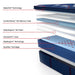 Sealy Brenham II Spring Mattress - Massey's Furniture Barn (Watertown, NY) 