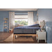 Sealy Pura Vida Innerspring Mattress - Massey's Furniture Barn (Watertown, NY) 