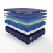 Sealy Annapolis Hybrid Mattress - Massey's Furniture Barn (Watertown, NY) 