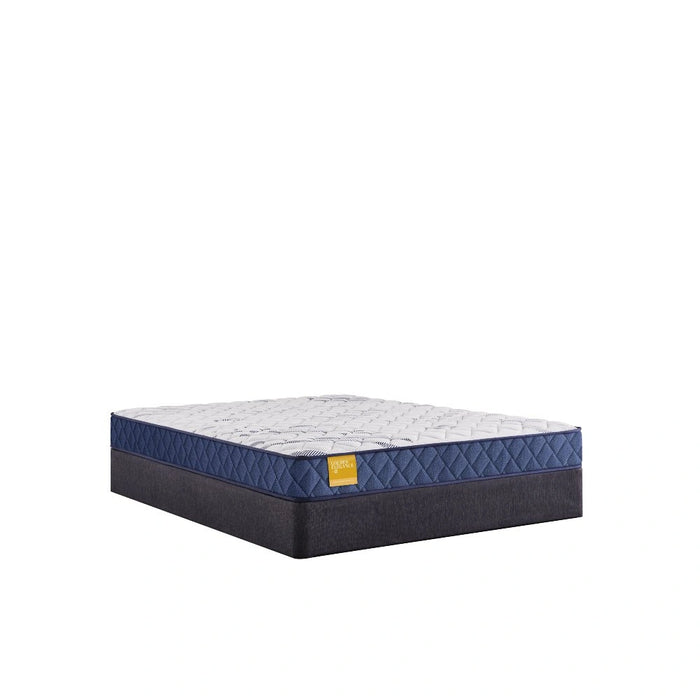 Sealy Erie Foam Mattress - Massey's Furniture Barn (Watertown, NY) 
